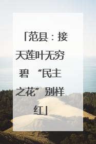 范县：接天莲叶无穷碧 “民主之花”别样红