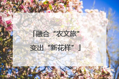 融合“农文旅” 变出“新花样”