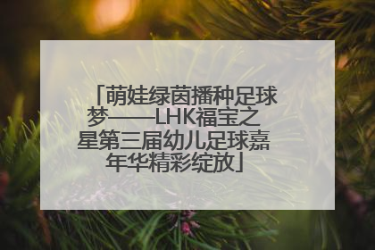 萌娃绿茵播种足球梦——LHK福宝之星第三届幼儿足球嘉年华精彩绽放