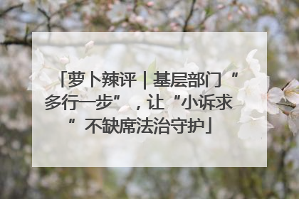 萝卜辣评｜基层部门“多行一步”，让“小诉求”不缺席法治守护