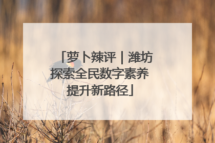 萝卜辣评｜潍坊探索全民数字素养提升新路径