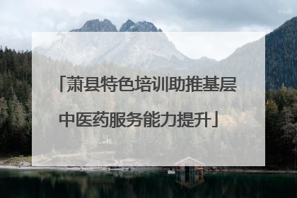 萧县特色培训助推基层中医药服务能力提升