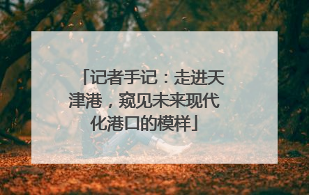 记者手记：走进天津港，窥见未来现代化港口的模样