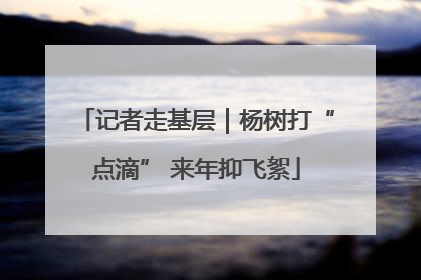 记者走基层｜杨树打“点滴” 来年抑飞絮