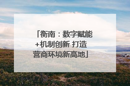 衡南：数字赋能+机制创新 打造营商环境新高地