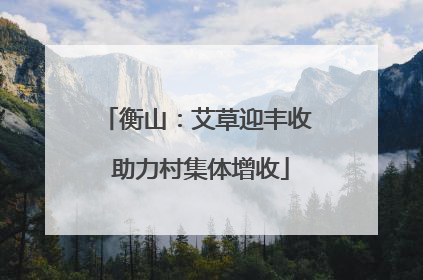 衡山：艾草迎丰收 助力村集体增收