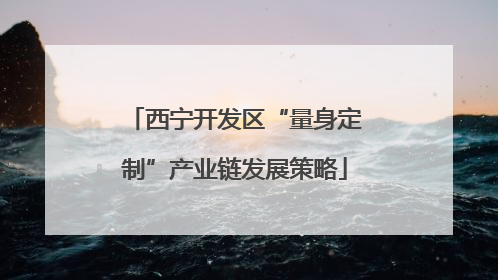 西宁开发区“量身定制”产业链发展策略