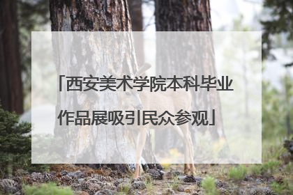 西安美术学院本科毕业作品展吸引民众参观