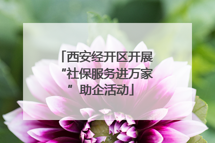 西安经开区开展“社保服务进万家”助企活动