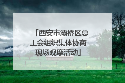 西安市灞桥区总工会组织集体协商现场观摩活动