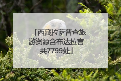 西藏拉萨普查旅游资源含布达拉宫共7799处