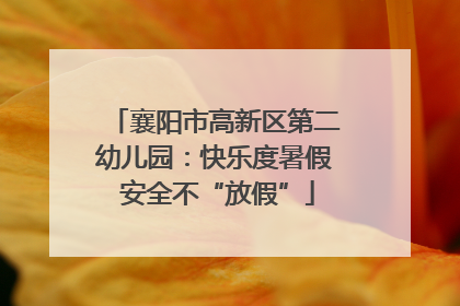 襄阳市高新区第二幼儿园：快乐度暑假 安全不“放假”