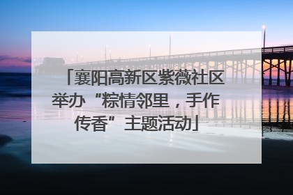 襄阳高新区紫薇社区举办“粽情邻里，手作传香”主题活动