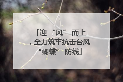 迎 “风” 而上，全力筑牢抗击台风 “蝴蝶” 防线
