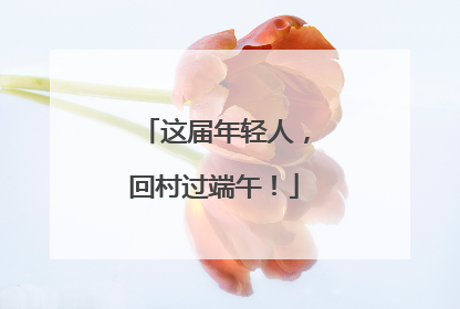 这届年轻人，回村过端午！