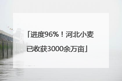 进度96%！河北小麦已收获3000余万亩