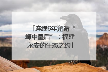 连续6年邂逅“蝶中皇后”：福建永安的生态之约