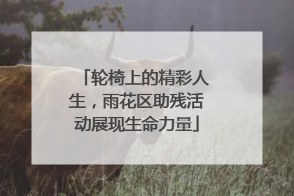 轮椅上的精彩人生，雨花区助残活动展现生命力量