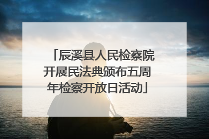 辰溪县人民检察院开展民法典颁布五周年检察开放日活动
