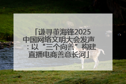 谦寻董海锋2025中国网络文明大会发声：以“三个向善”构建直播电商善意长河