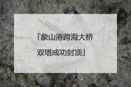 象山港跨海大桥双塔成功封顶