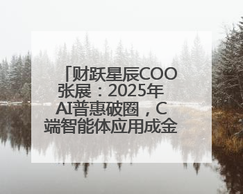 财跃星辰COO张展：2025年AI普惠破圈，C端智能体应用成金融转型关键