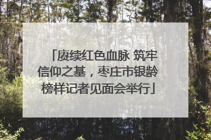 赓续红色血脉 筑牢信仰之基，枣庄市银龄榜样记者见面会举行