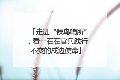 走进“候鸟哨所”，看一茬茬官兵践行不变的戍边使命