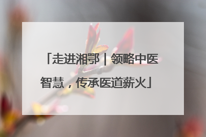 走进湘鄂｜领略中医智慧，传承医道薪火