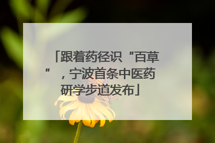 跟着药径识“百草”，宁波首条中医药研学步道发布