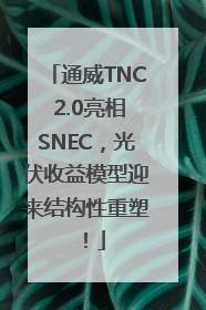 通威TNC 2.0亮相SNEC，光伏收益模型迎来结构性重塑！