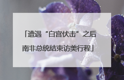 遭遇“白宫伏击”之后 南非总统结束访美行程