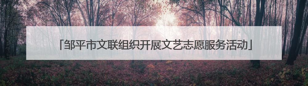 邹平市文联组织开展文艺志愿服务活动