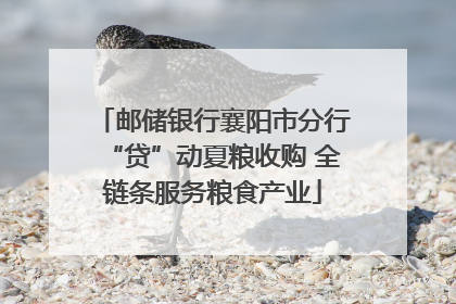 邮储银行襄阳市分行“贷”动夏粮收购 全链条服务粮食产业