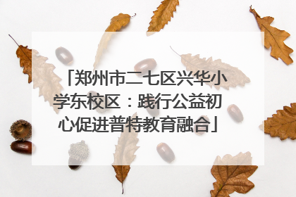 郑州市二七区兴华小学东校区：践行公益初心促进普特教育融合