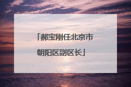 郝宝刚任北京市朝阳区副区长