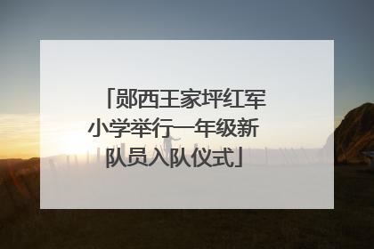 郧西王家坪红军小学举行一年级新队员入队仪式