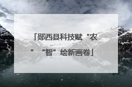 郧西县科技赋“农”“智”绘新画卷