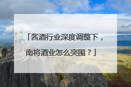 酱酒行业深度调整下，南将酒业怎么突围？