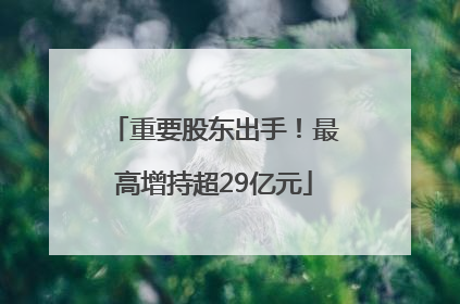重要股东出手！最高增持超29亿元