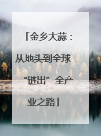 金乡大蒜：从地头到全球“链出”全产业之路