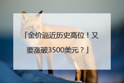 金价逼近历史高位！又要涨破3500美元？