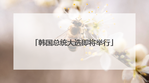韩国总统大选即将举行