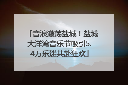 音浪激荡盐城！盐城大洋湾音乐节吸引5.4万乐迷共赴狂欢