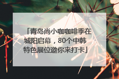 青岛尚小咖咖啡季在城阳启幕，80个中韩特色展位邀你来打卡