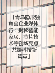 青岛隐形独角兽企业媒体行：揭秘智能家居、芯片技术等创新亮点 共绘科技新篇章