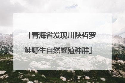 青海省发现川陕哲罗鲑野生自然繁殖种群