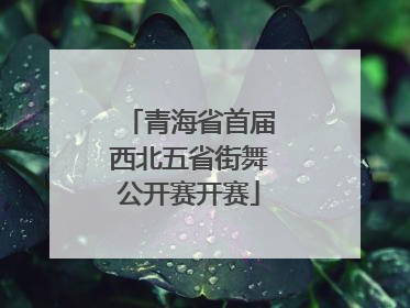 青海省首届西北五省街舞公开赛开赛
