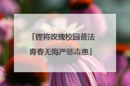 铿将玫瑰校园普法 青春无悔严惩毒患