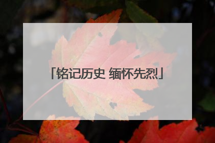 铭记历史 缅怀先烈